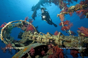 Diver at wreck "Cedar Pride"; Model: Giovanna; Nikon D3, ... by Frank Schneider 